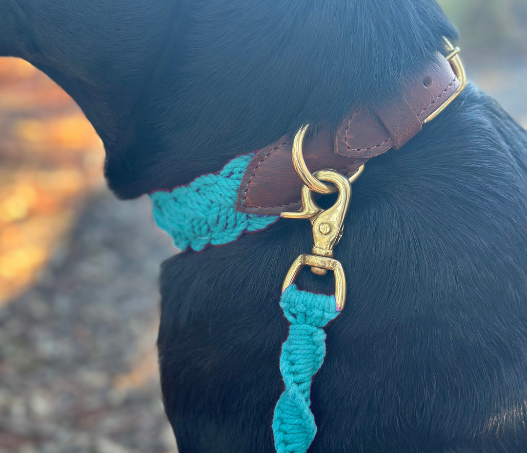 Seaside Leash