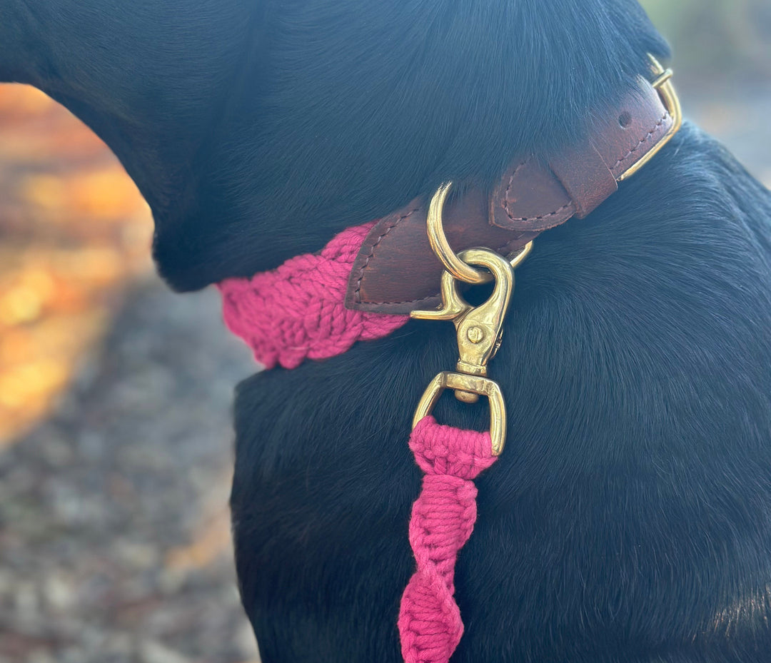 Seaside Leash