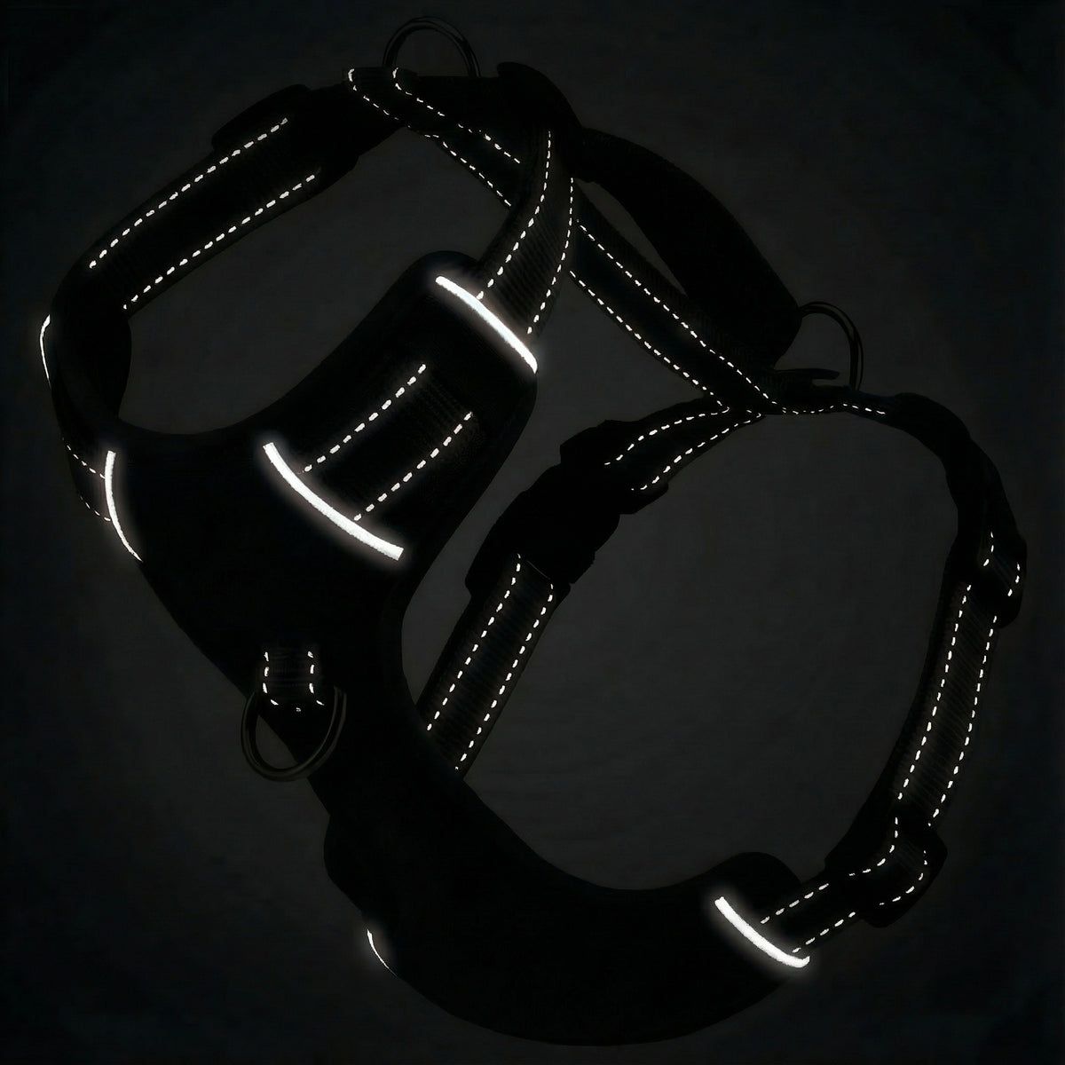 Chesapeake Bay Dog Harness