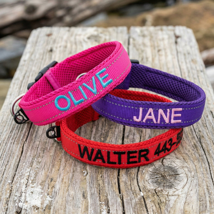 Embroidered Dog Collar