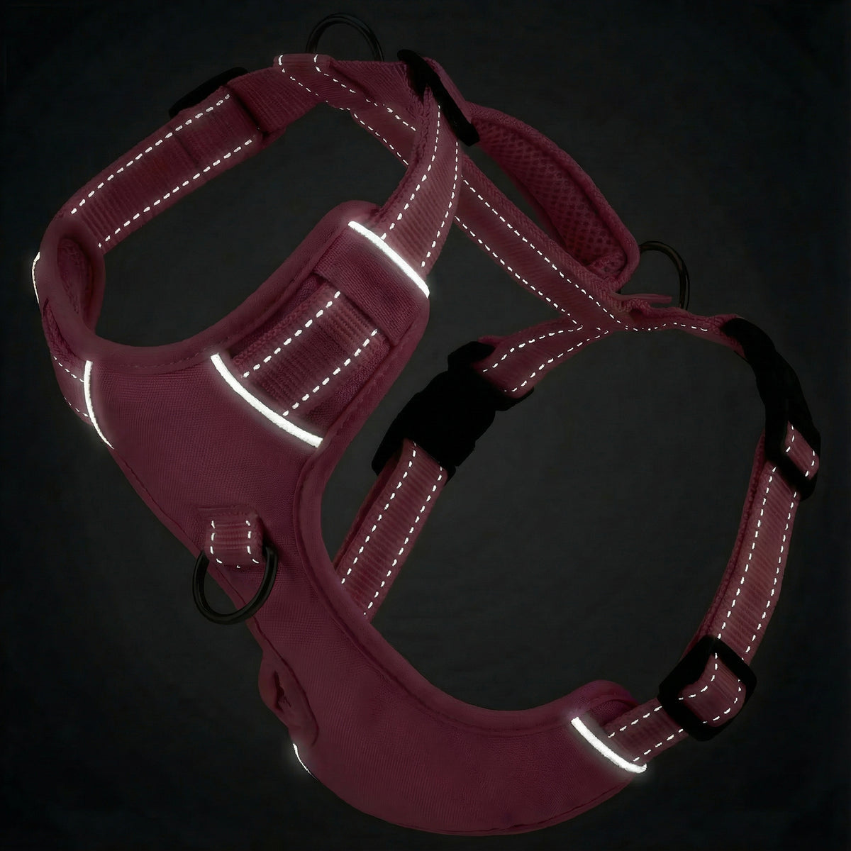 Chesapeake Bay Dog Harness