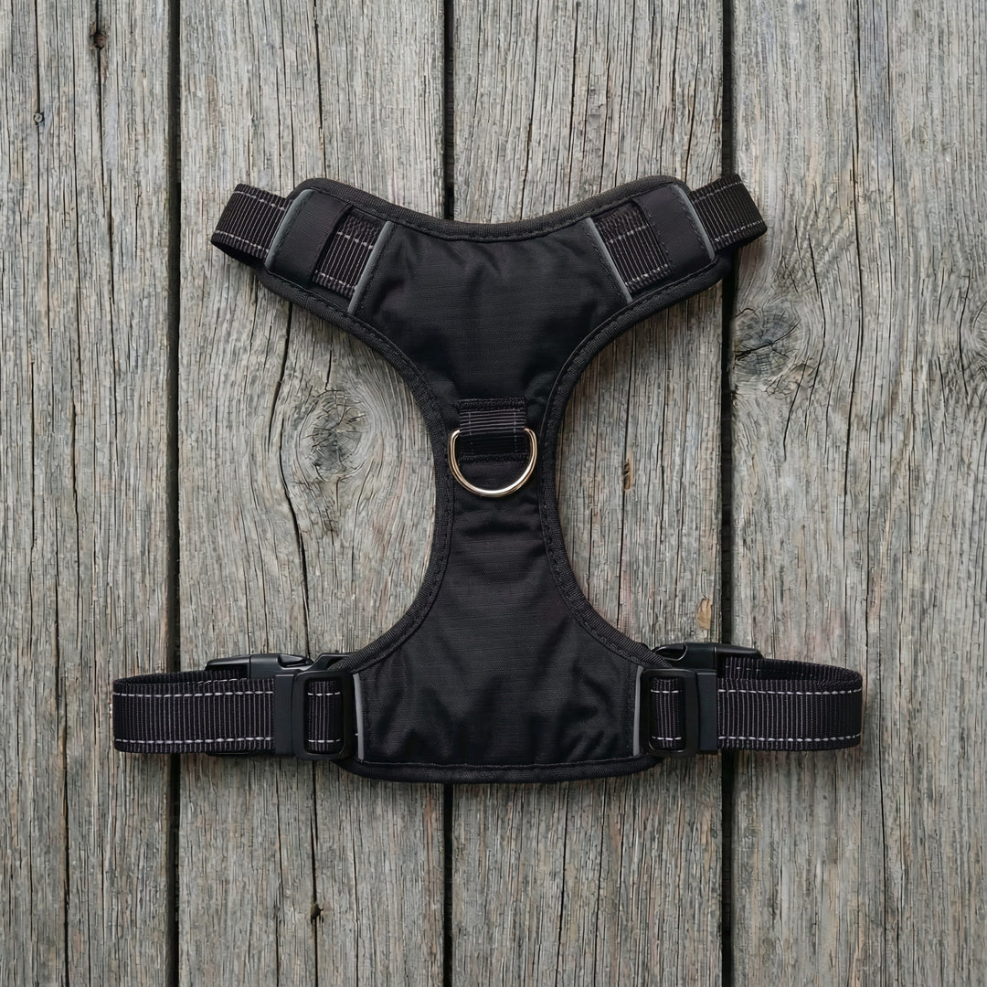 Chesapeake Bay Dog Harness