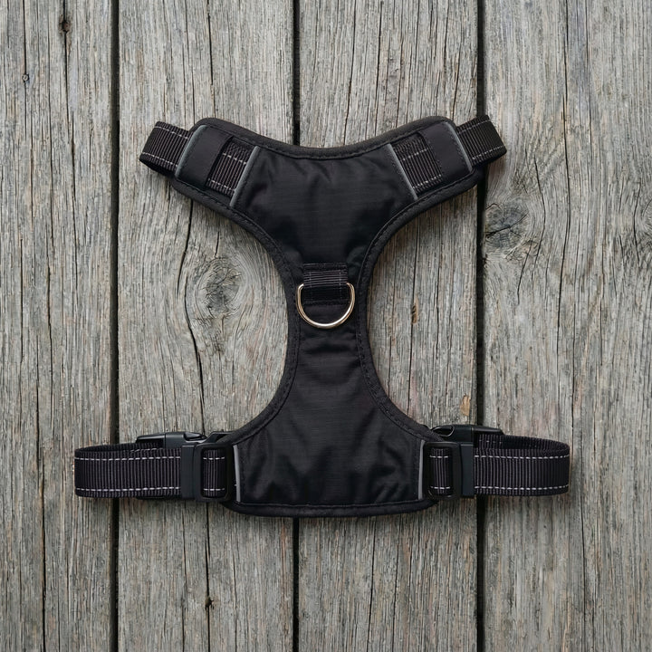 Chesapeake Bay Dog Harness
