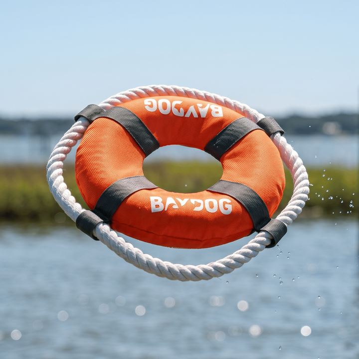 Fetch Ring