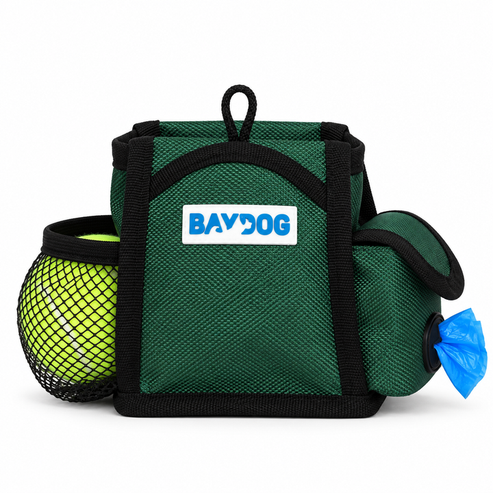 Pack-N-Go Bag
