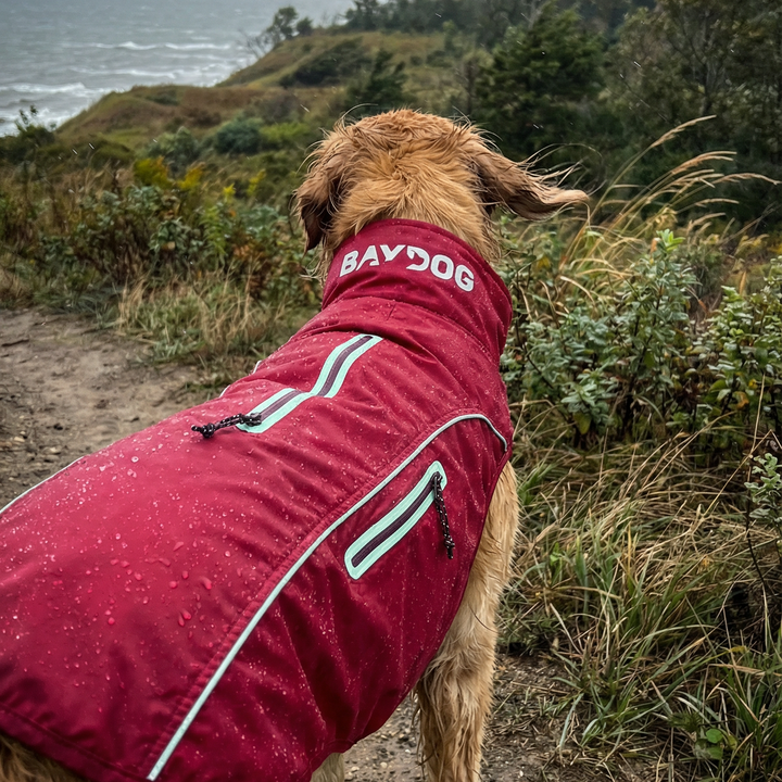Narragansett Bay Dog Sailing Jacket