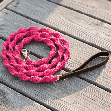 Leashes