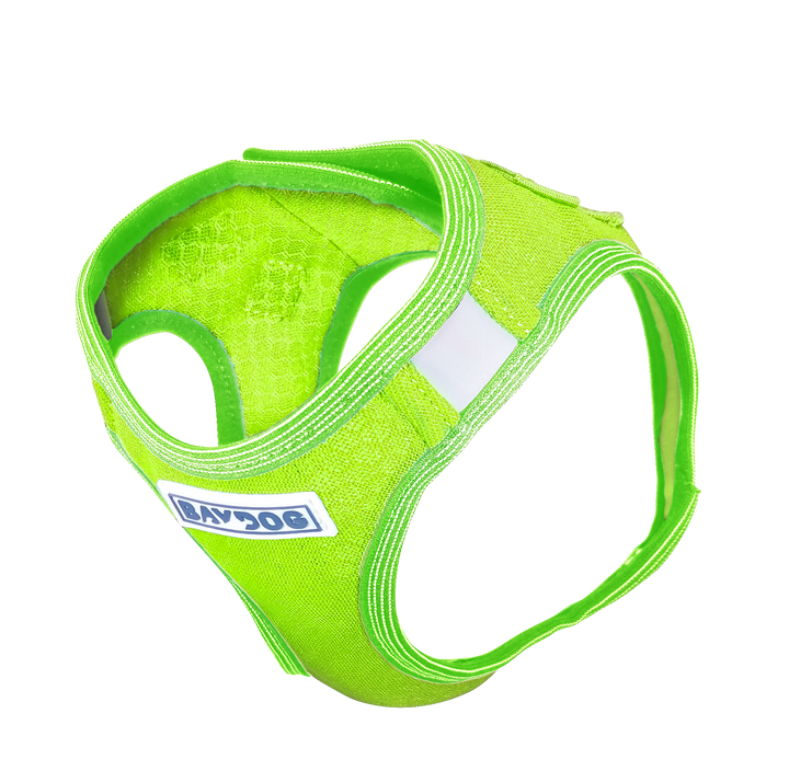 Liberty Bay Dog Harness