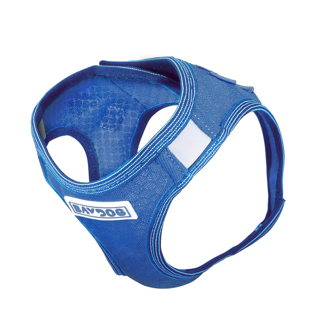Liberty Bay Dog Harness