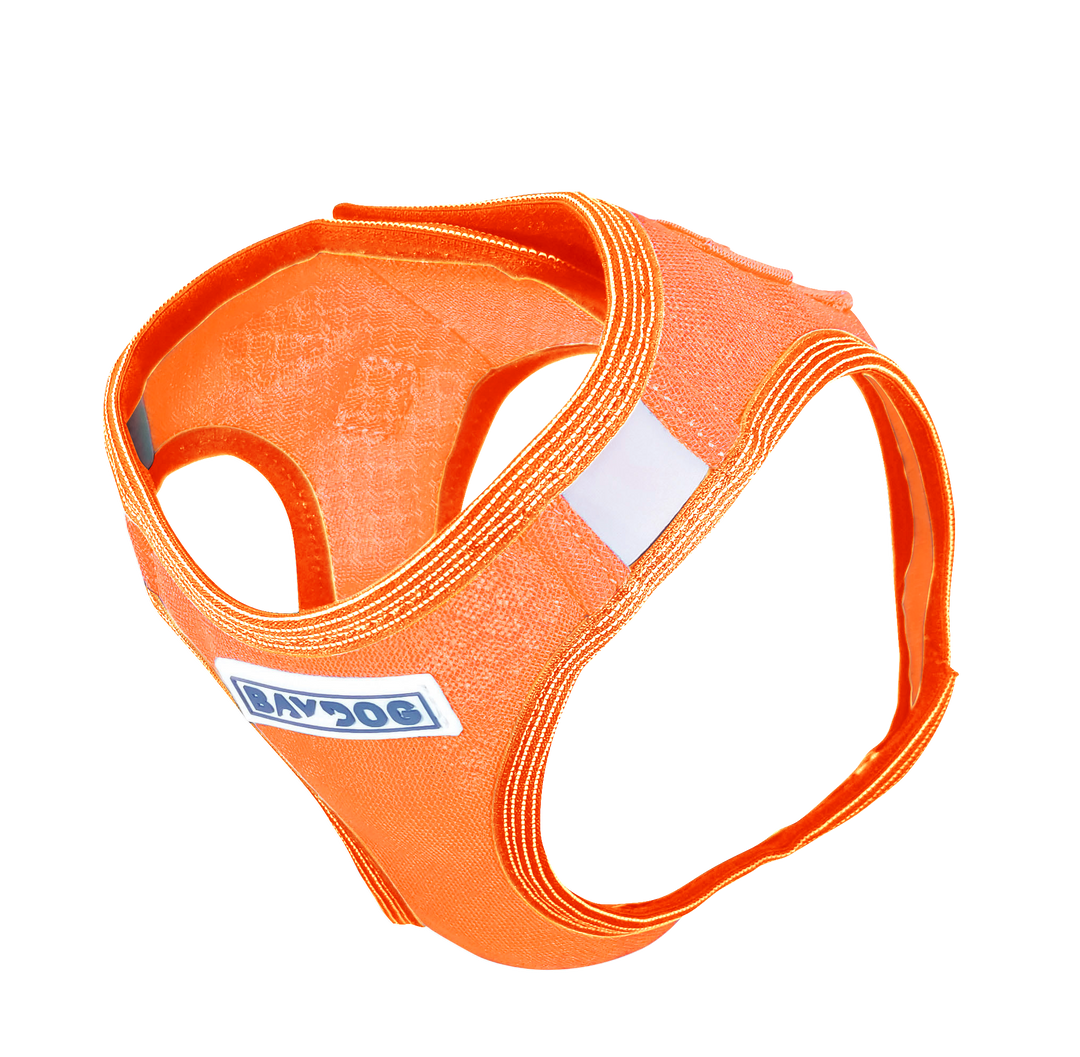 Liberty Bay Dog Harness