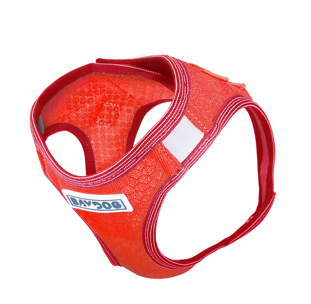 Liberty Bay Dog Harness