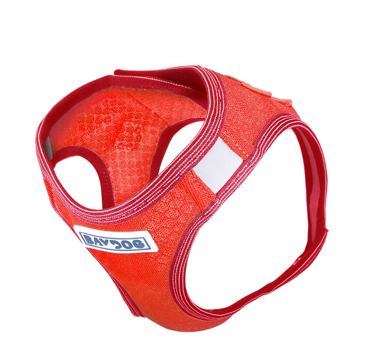 Liberty Bay Dog Harness