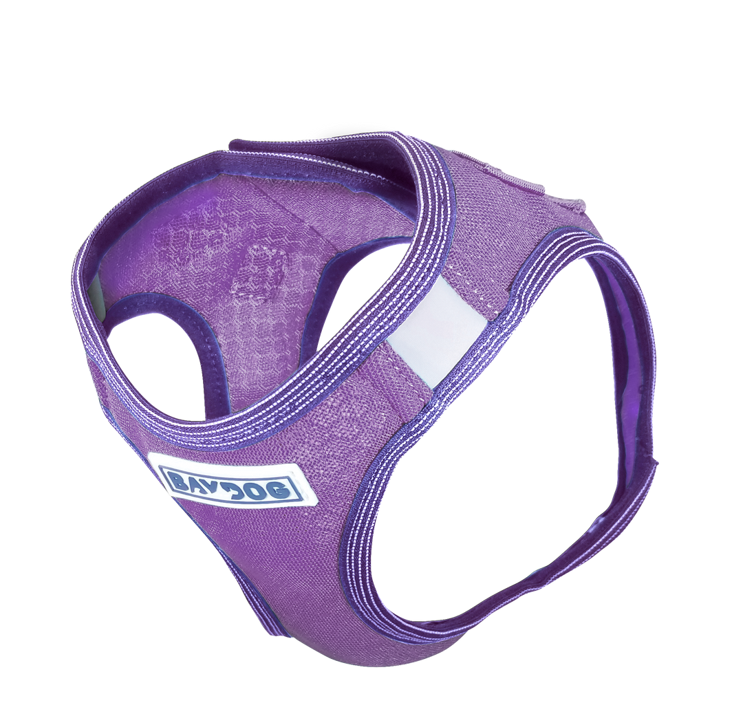Liberty Bay Dog Harness
