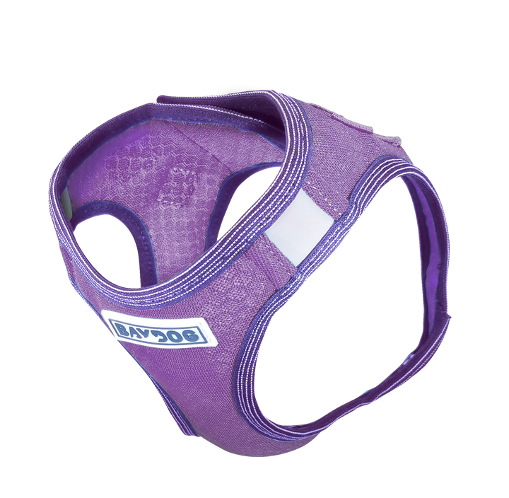 Liberty Bay Dog Harness