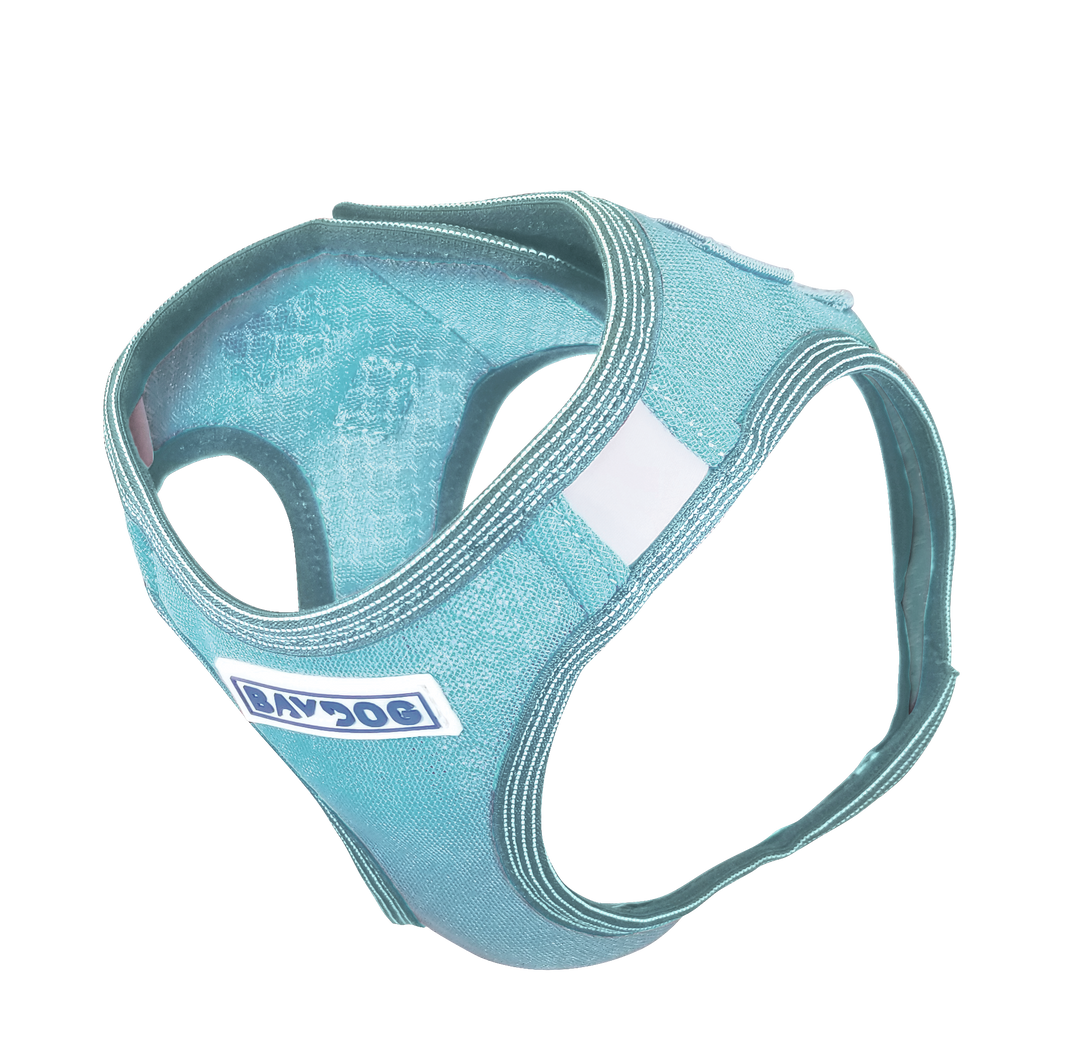 Liberty Bay Dog Harness