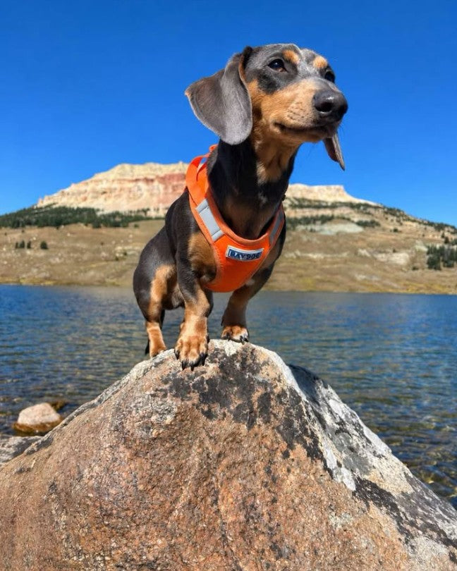 Trail time