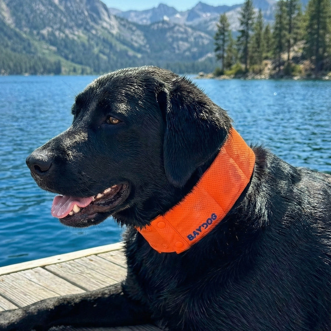 Arctic Bay Cooling Collar