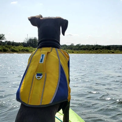 Customer dog wearing the Monterey Bay LifeJacket