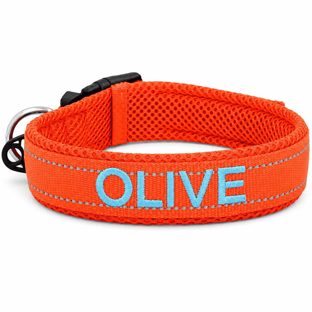 Embroidered Dog Collar