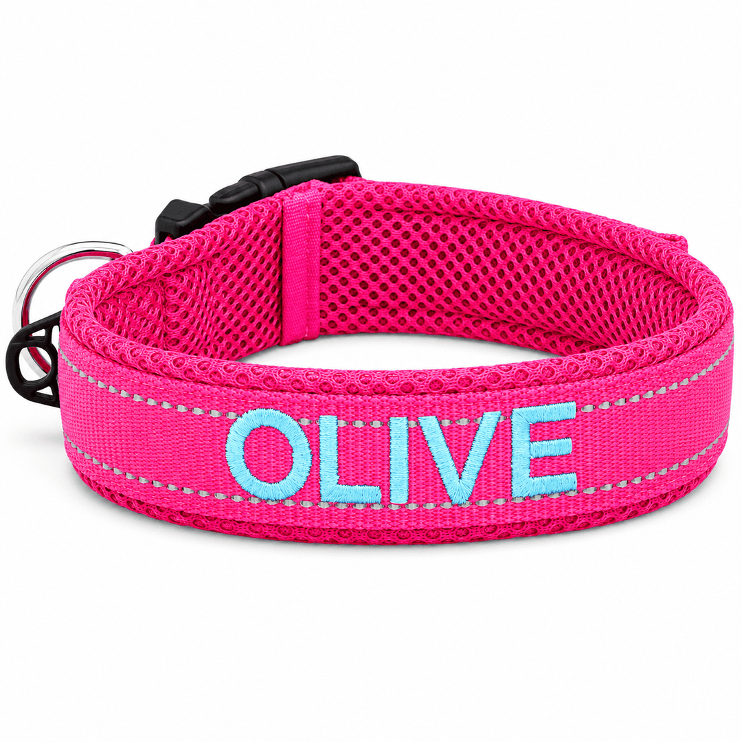 Embroidered Dog Collar