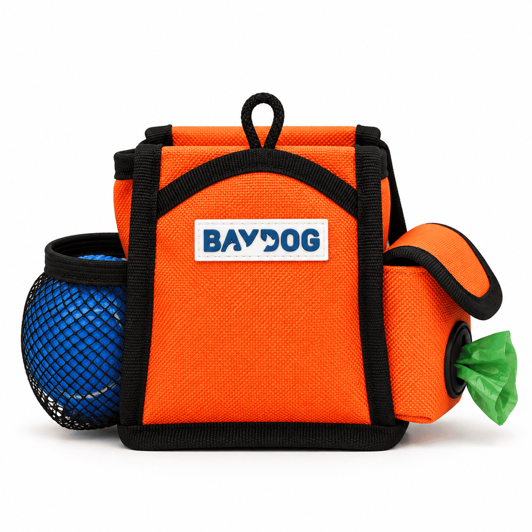 Pack-N-Go Bag