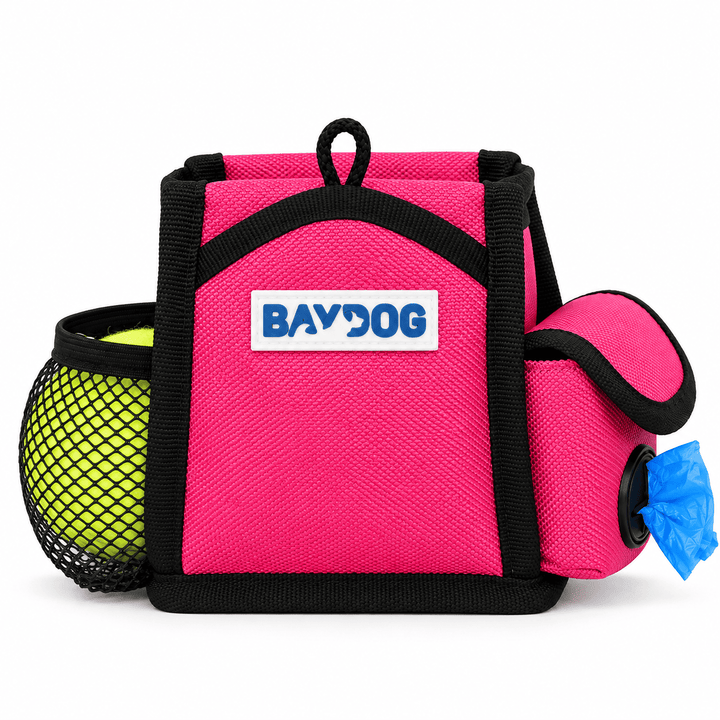 Pack-N-Go Bag