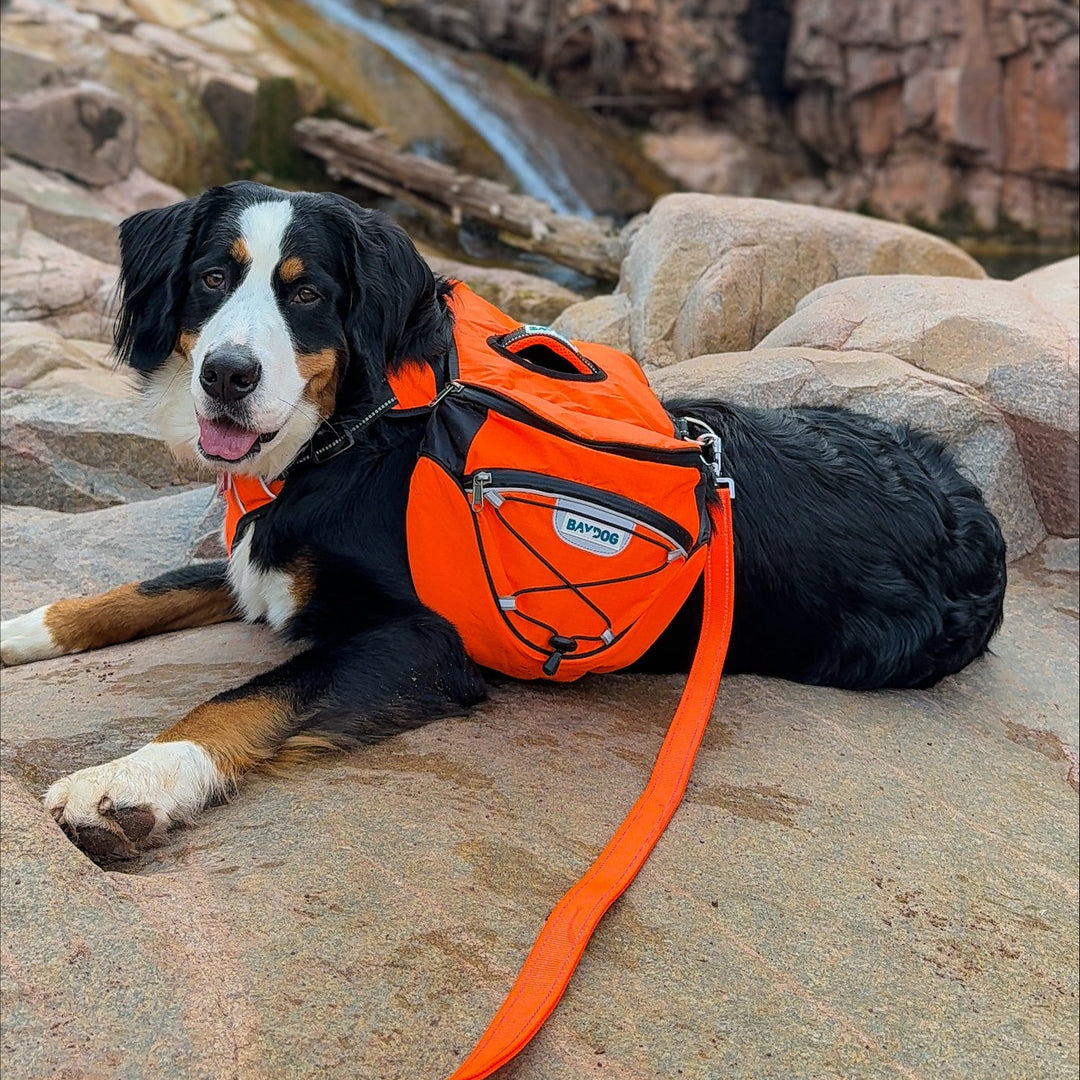 baco dog gear Baydog Saranac Blue X-Large Backpack 1 Each by Baydog