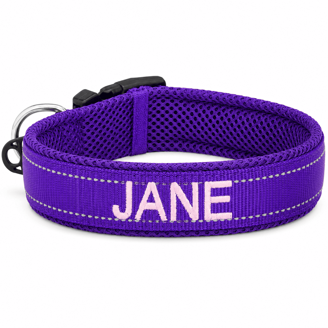 Embroidered Dog Collar