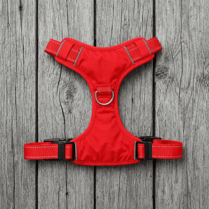 Chesapeake Bay Dog Harness