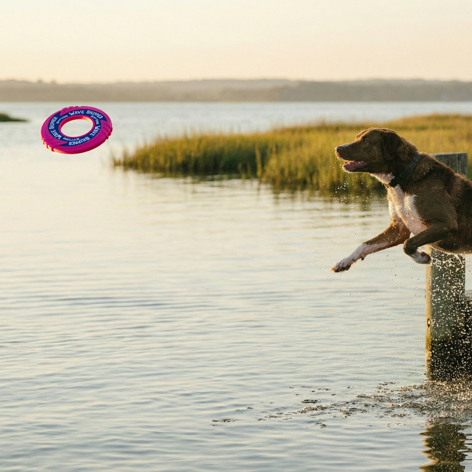 WaveSkipper Dog Toy – BAYDOG