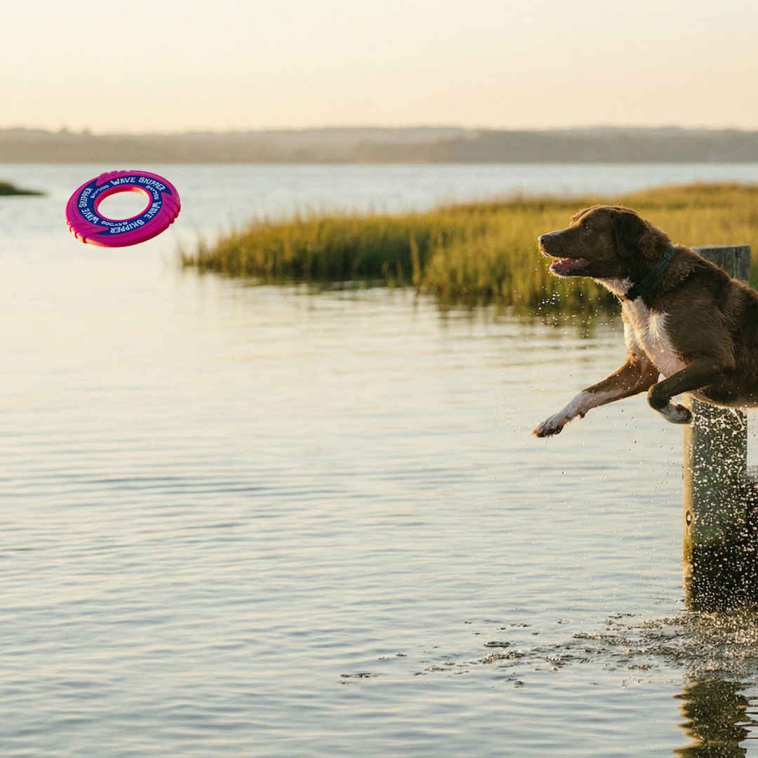 WaveSkipper Dog Toy