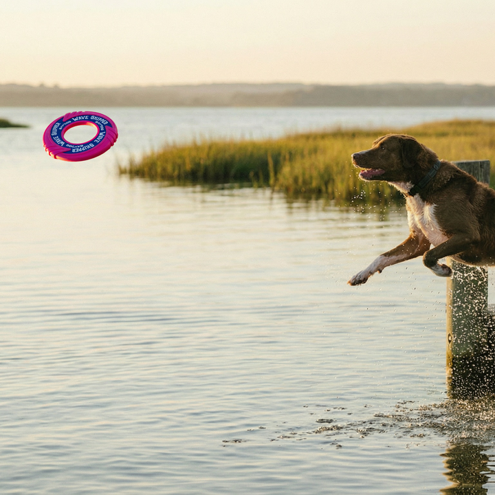 WaveSkipper Dog Toy