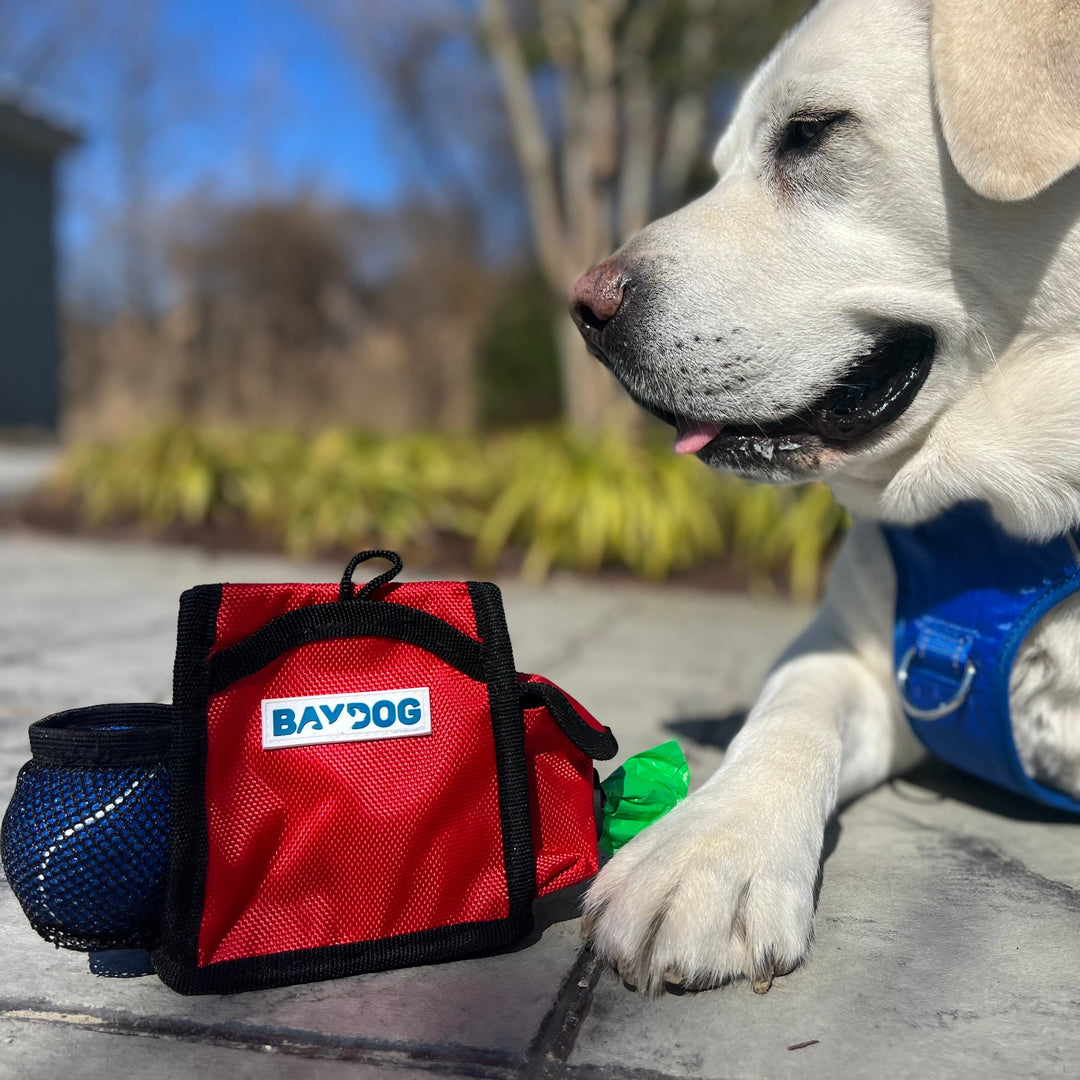 Pack-N-Go Bag – BAYDOG - Main Image