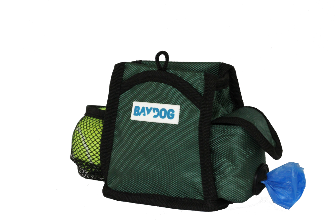 Pack-N-Go Bag | Forest Green