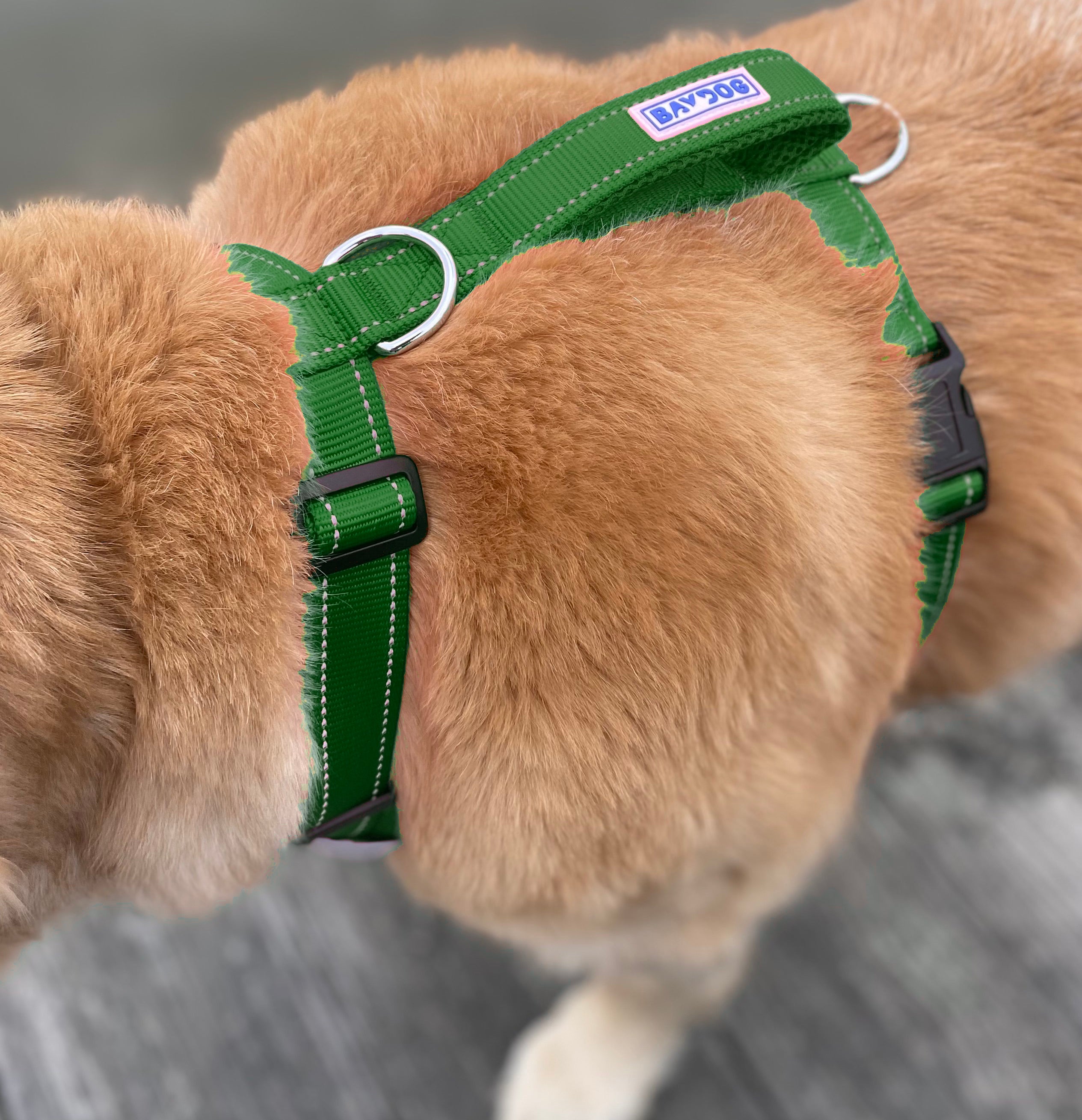 Forest green 2024 dog harness