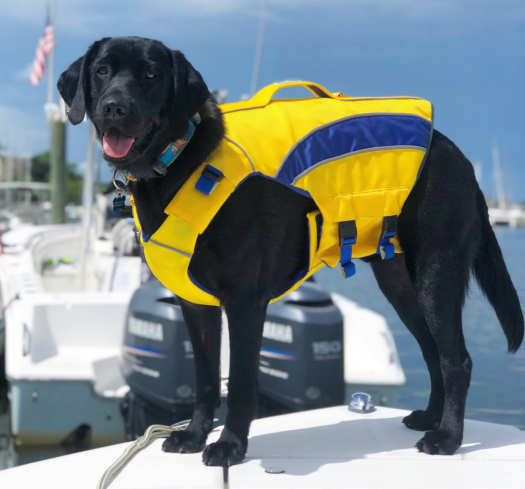 Monterey Bay Dog LifeJacket | Nautical Yellow