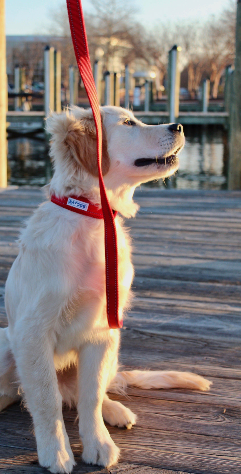Hudson Bay Dog Leash | Clifford Red