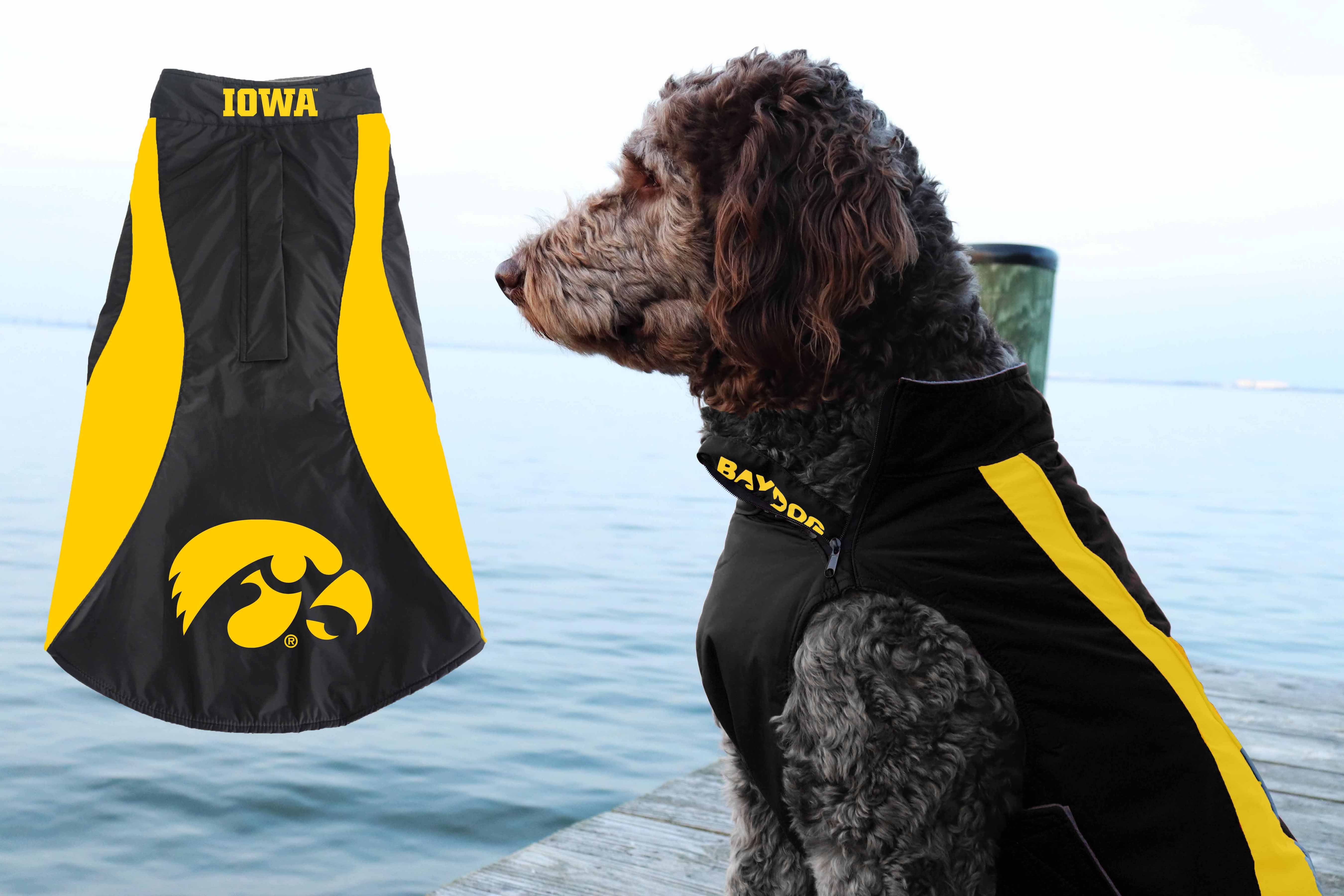 Iowa hawkeye shop dog apparel