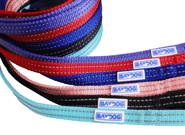 Pensacola Bay Dog Leash