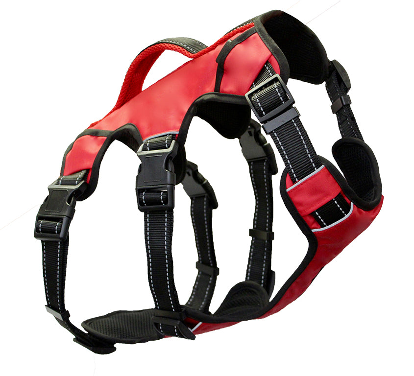 Saranac Dog Backpack | Clifford Red