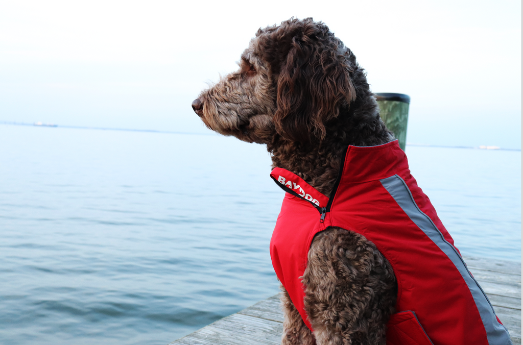 Maryland Fleece – BAYDOG