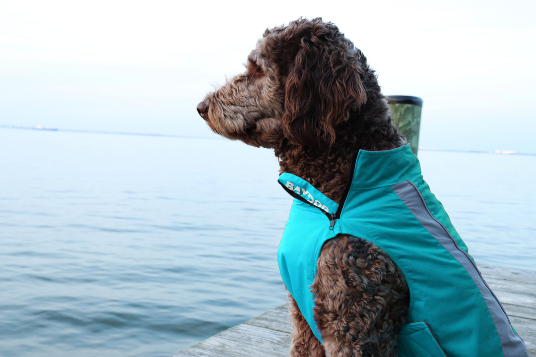 Saginaw Bay Dog Fleece | Aquamarine