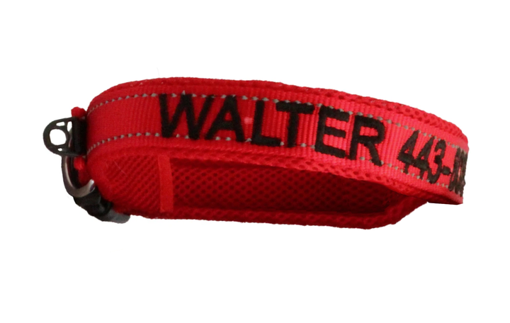 Embroidered Dog Collar | Clifford Red