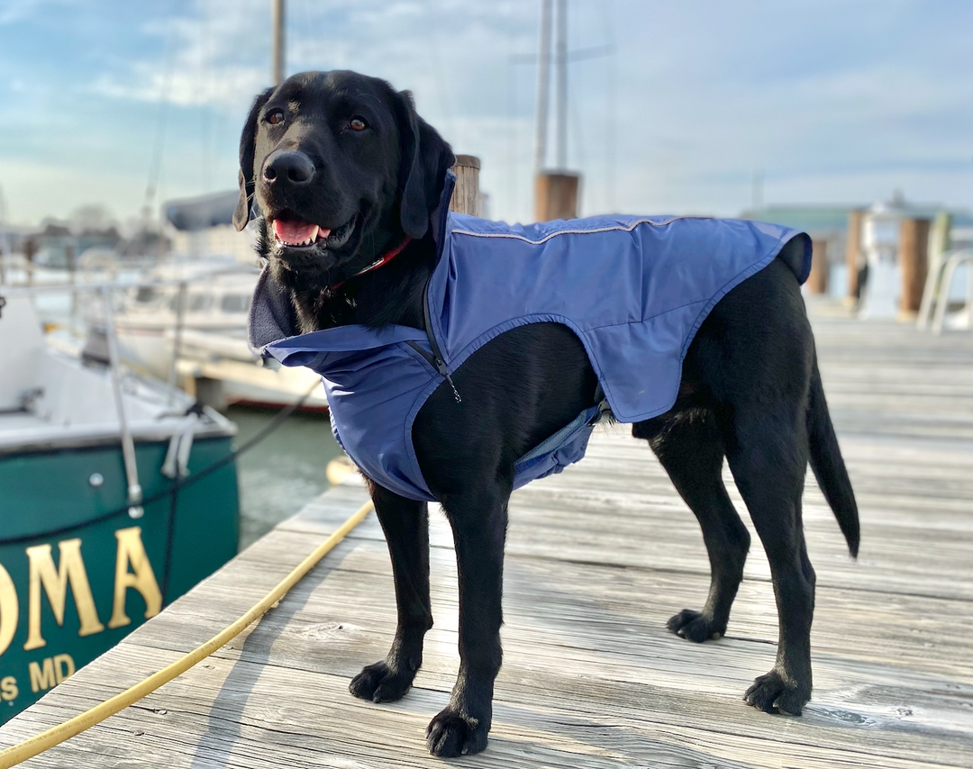 Narragansett Bay Dog Sailing Jacket | Navy Blue
