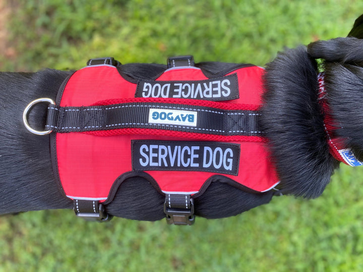 Service Dog Harness| Red