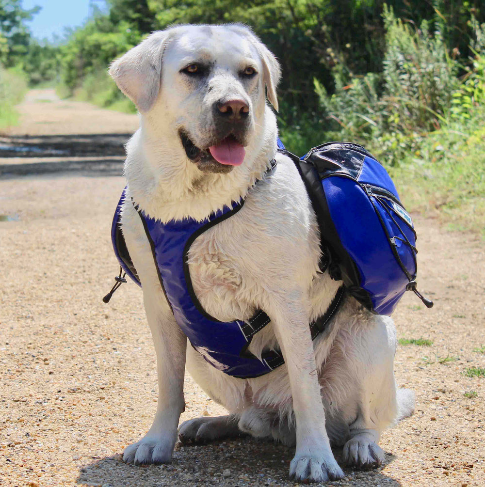 Saranac Dog Backpack | Baydog Blue
