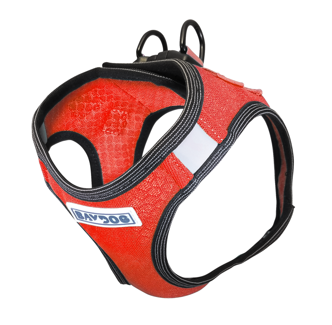 Liberty Bay Dog Harness | Clifford Red