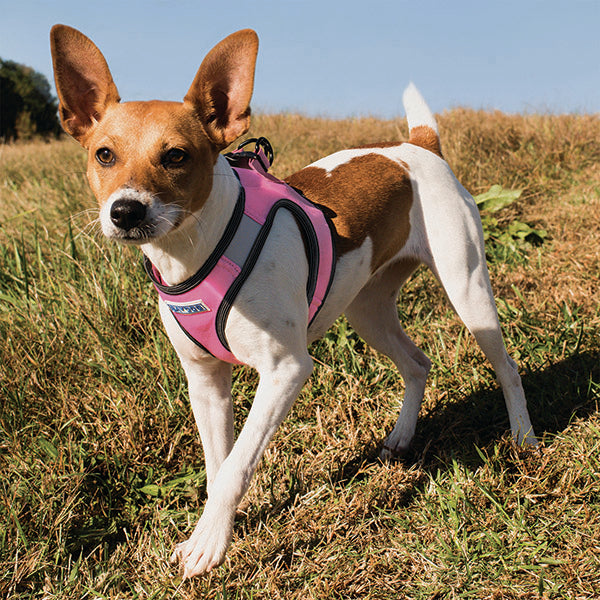 Jump air clearance mesh dog harness