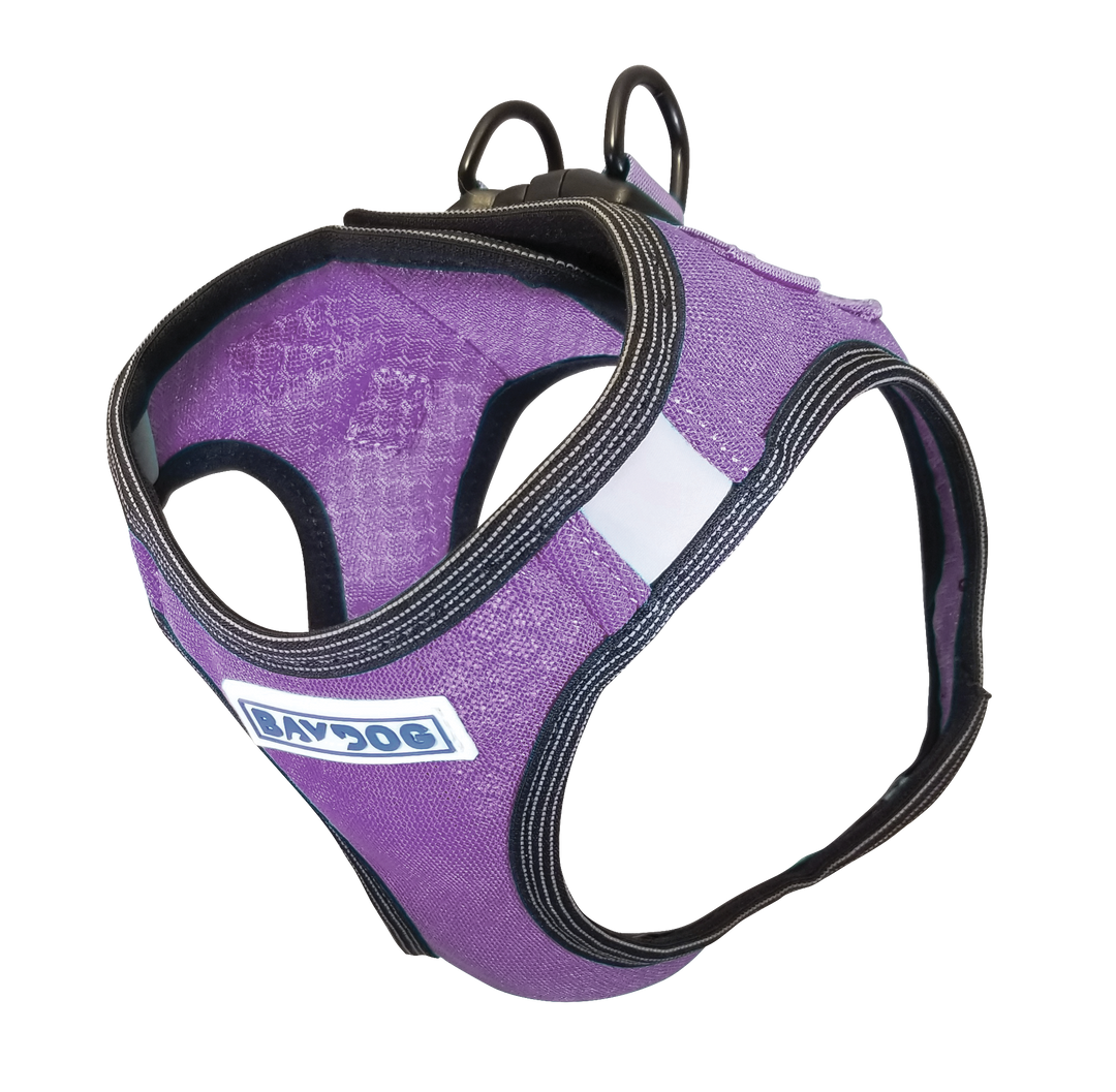 Liberty Bay Dog Harness | Lavender